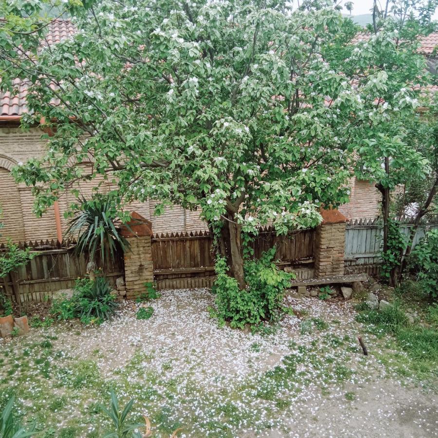 Kizikis Kari Hotel Sighnaghi Exterior photo